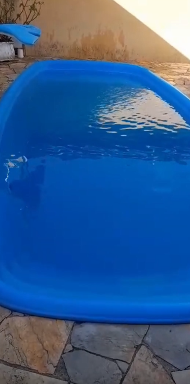 Piscina de fibra azul antes e depois do tratamento de choque, água cristalina.